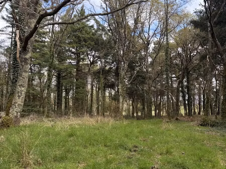 vente terrain agricole 43 500 m²