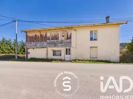 maison à raon-aux-bois (88220)