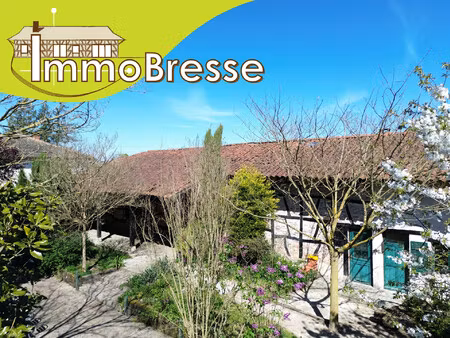 achat maison 9 pièces 188m² st jean sur reyssouze 01560