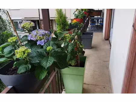 saint-ouen-l'aumône (95310)