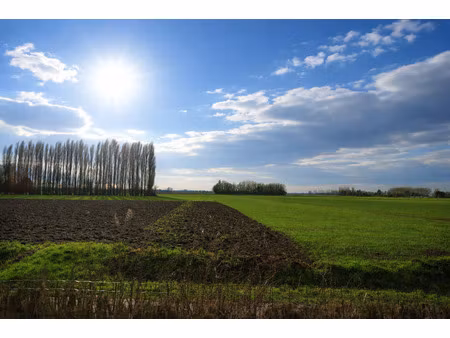 maison individuelle 200 m2 - 3500m²