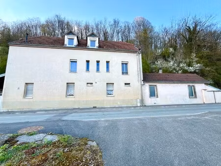 achat immeuble 234m² l isle sur le doubs 25250