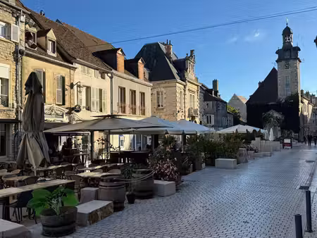 achat immeuble 420m² nuits st georges 21700