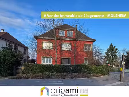 achat immeuble 254m² molsheim 67120