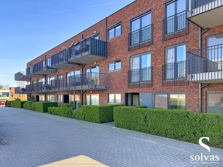 appartement te huur in maldegem