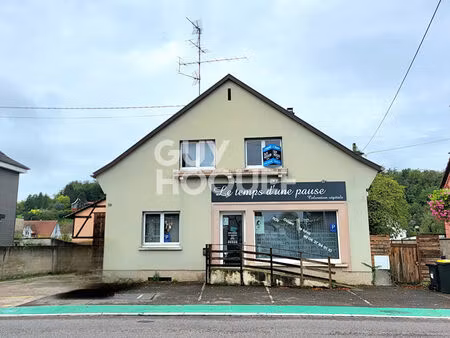 immeuble habsheim 3 lots avec commerce