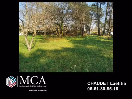 vente terrain 376 m² belin-béliet (33830)