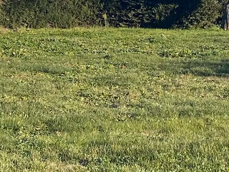 vente terrain à construire 600 m² jouques (13490)