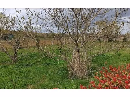 terrain châtillon-sur-cher m² t- à vendre  18 000 €