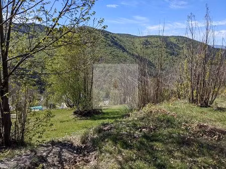 terrain