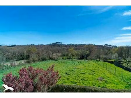 vente maison à cléden-cap-sizun (29770) : à vendre / 120m² cléden-cap-sizun