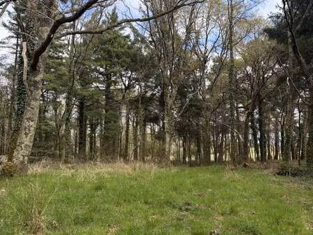vente terrain à plouhinec (56680) : à vendre / 43500m² plouhinec