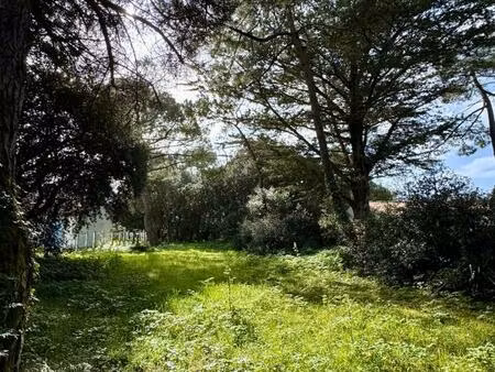vente terrain 990 m² saint-georges-d’oléron (17190)