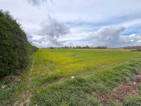 terrain constructible à vendre à tournai  kain - 1 hectare