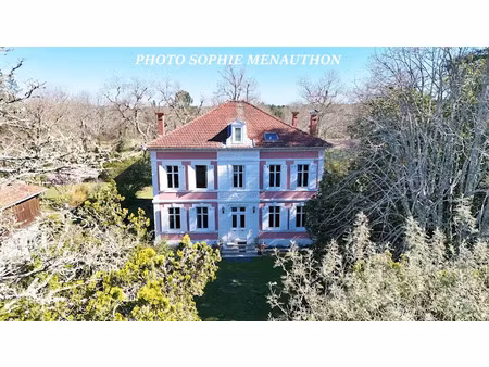 vente maison 19 pièces 624 m² à saint-julien-en-born (40170)  995 000 €