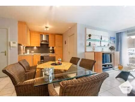 uitstekend gelegen appartement met 1 slaapkamer te nieuwp...