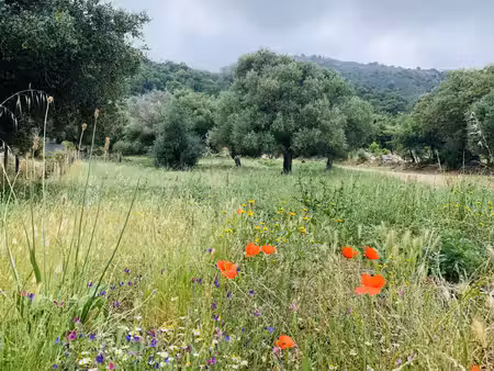 terrain à batir .