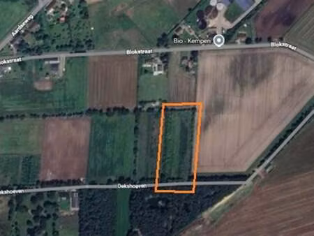 terrain à vendre à geel € 68.800 (lmzer) - nxxt vastgoed | zimmo