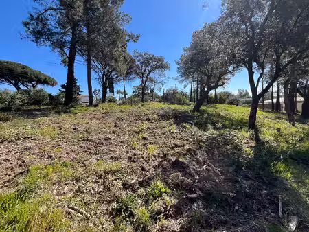 vente terrain à construire 1800 m² grimaud (83310)