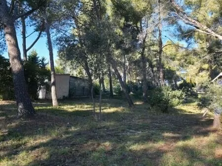terrain 688 m² sausset les pins