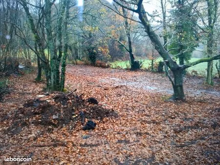 terrain de loisir boisé
