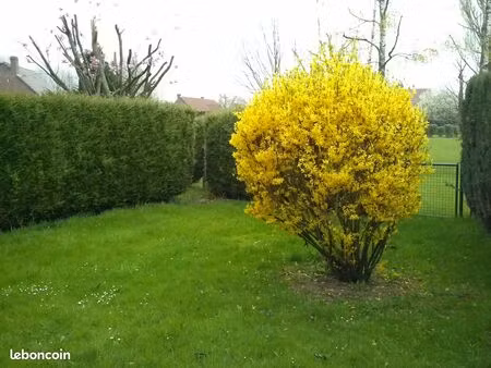 maison individuelle de 4 chambres