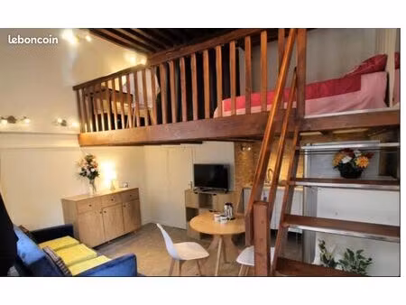 location appartement meublé 28m2 69001