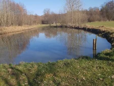 etang à vendre