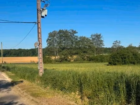 terrain constructible