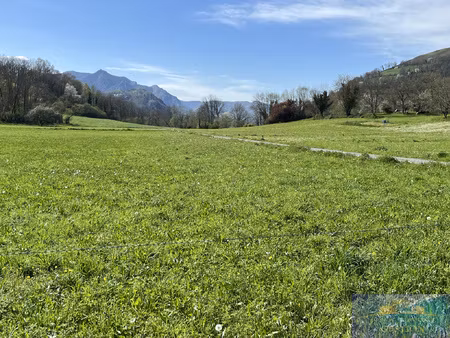 terrain a batir proche lourdes
