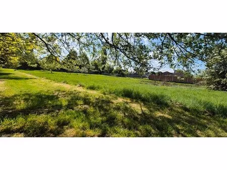 3 magnifiques terrains à bâtir à saint-symphorien