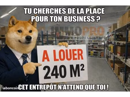 local 240 m² vallauris