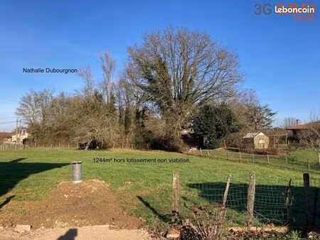 vente | terrain constructible | 1244 m² | saint-didier-d'aussiat