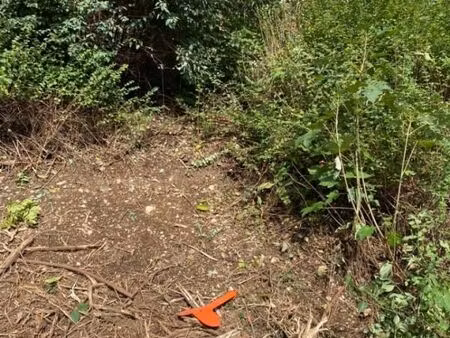 terrain 611 m² chevry