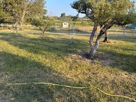 recherche maison/ mazet/ logements campagne à l année -profil sérieux