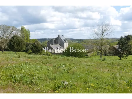 vente manoir 12 pièces 360 m² à lamballe-armor (22400)  885 000 €