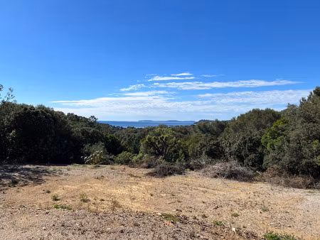 vente terrain à construire 1690 m² la croix-valmer (83420)