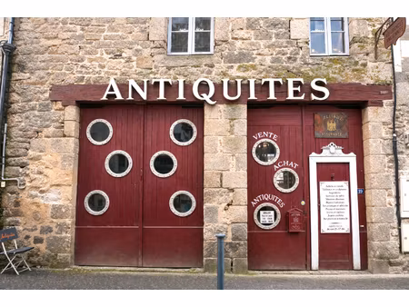 immeuble en pierre de1650 - centre-ville - fort potentiel pro ou habitation