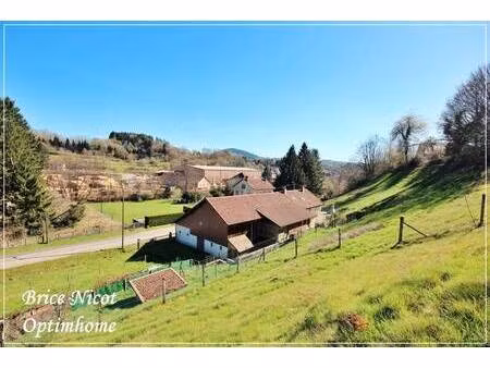 nicot brice agent mandataire optimhome