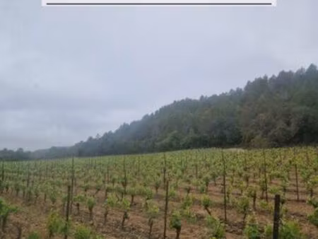 parcelle avec forage