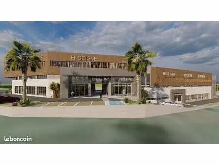 vente pro (murs) | local commercial | 783.82 m² | les abymes