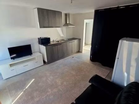 t1 34m2 avec grande terrasse et jardin