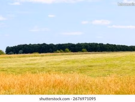 recherche terrain 4 hectares