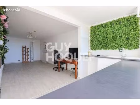 appartement 1 pièce 45 m²