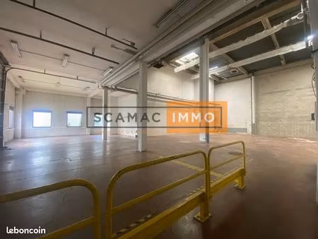 local d'activité 493 m²