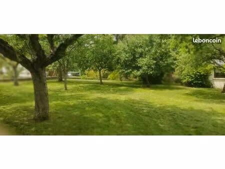 terrain constructible