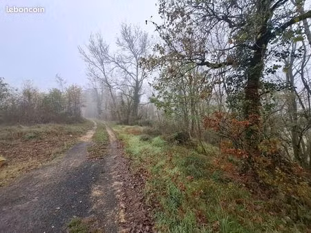 terrain 25154 m² saint-léon-sur-vézère