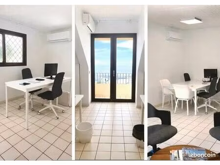 bureaux 90m2 - dans jardin tropical