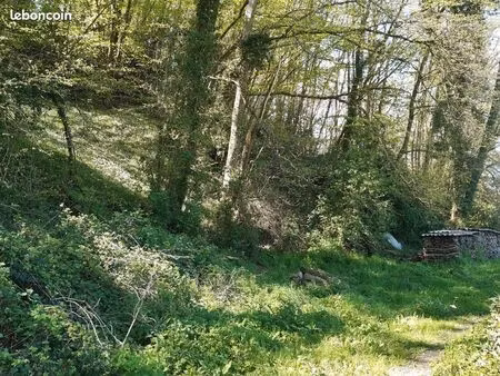 parcelle forestière bois