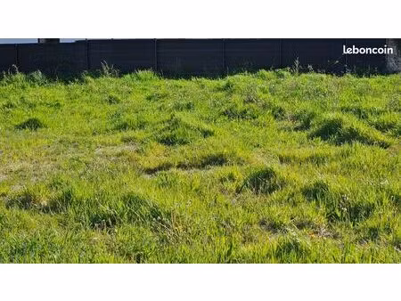 terrain 524 m² baye